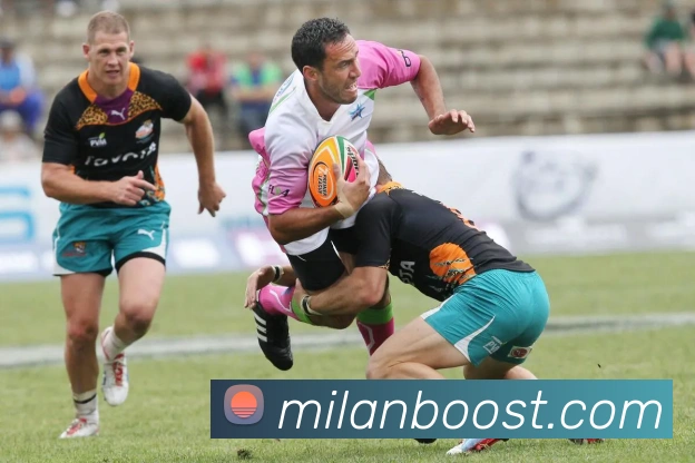 多媒体互动体验